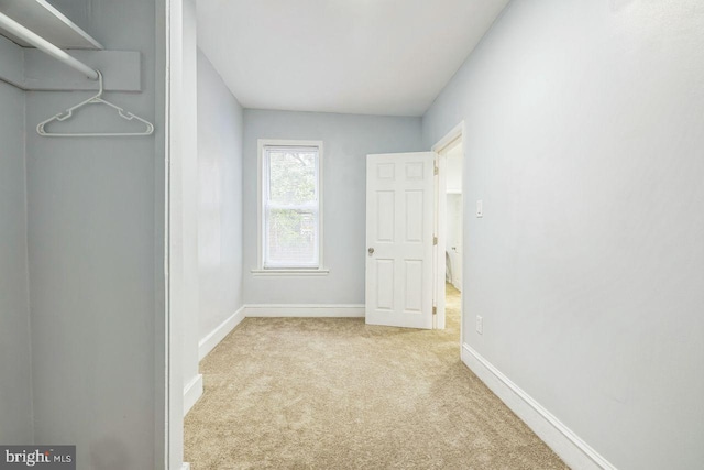 walk in closet featuring carpet floors