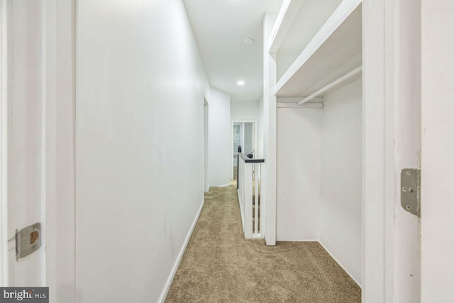 hallway with carpet flooring