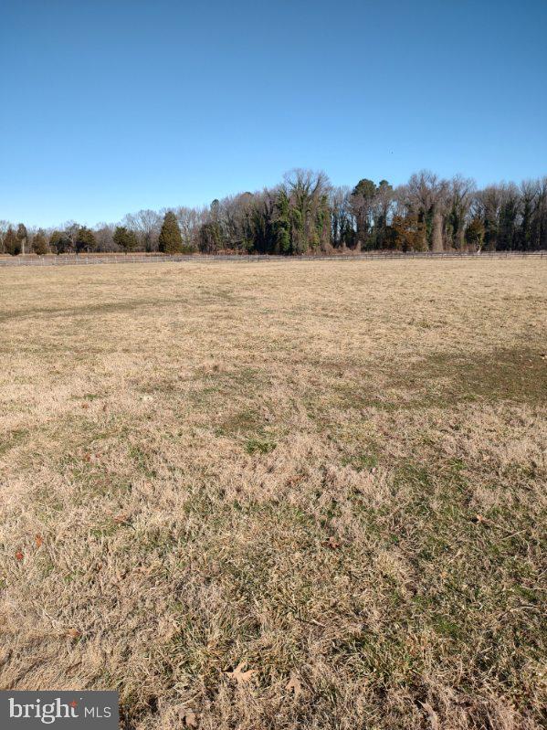 view of local wilderness featuring a rural view