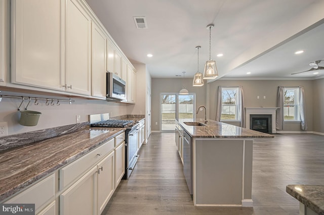 kitchen with dark wood finished floors, open floor plan, stainless steel appliances, and a sink