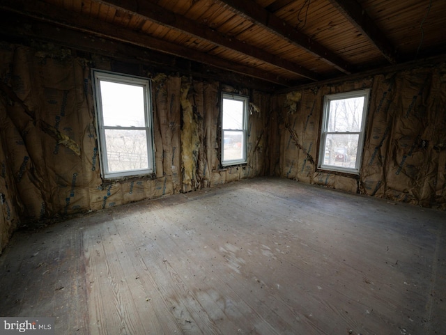 miscellaneous room with plenty of natural light