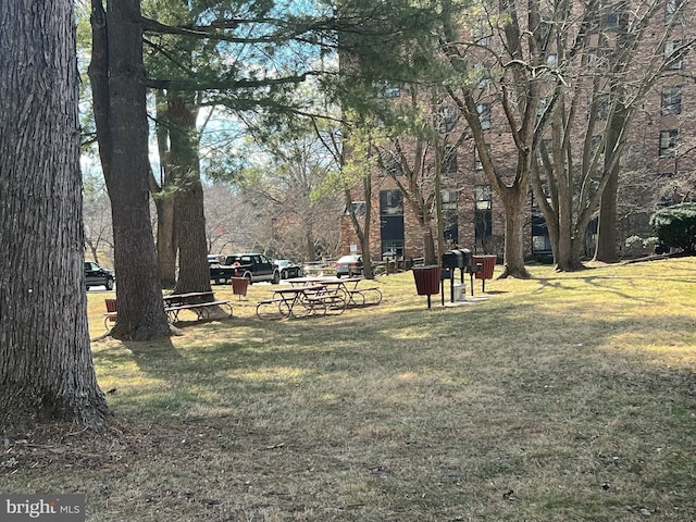 view of community featuring a lawn