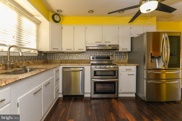 kitchen featuring under cabinet range hood, appliances with stainless steel finishes, decorative backsplash, and a sink