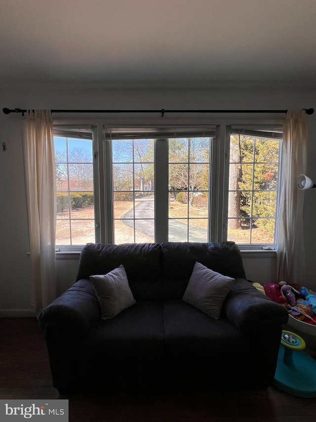 living room featuring a healthy amount of sunlight