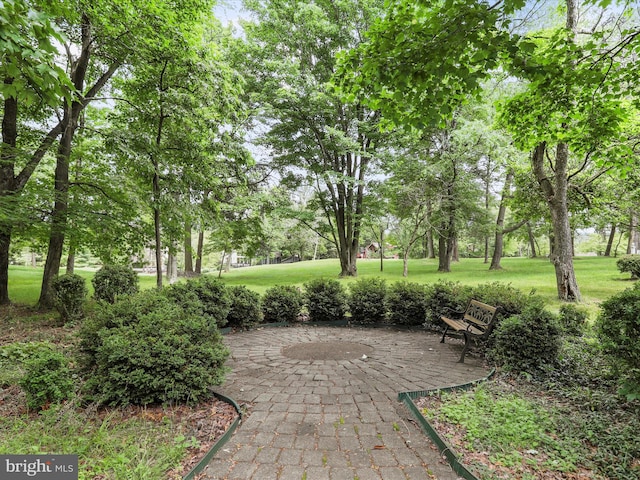 surrounding community featuring a patio and a lawn