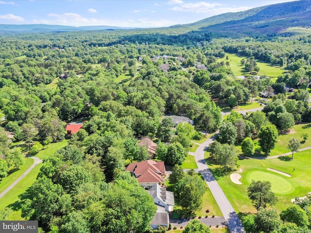 aerial view featuring a mountain view and a wooded view