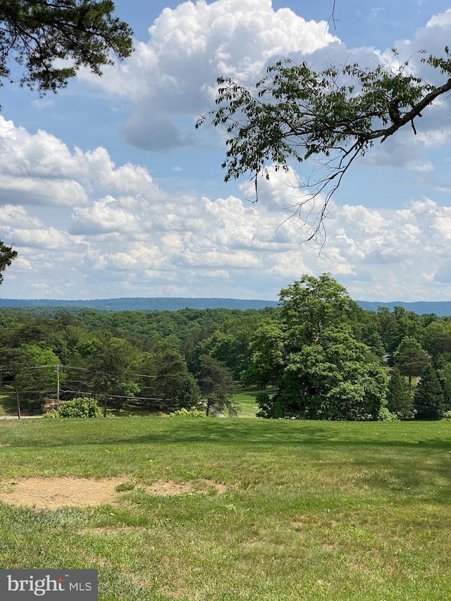 view of yard featuring a wooded view