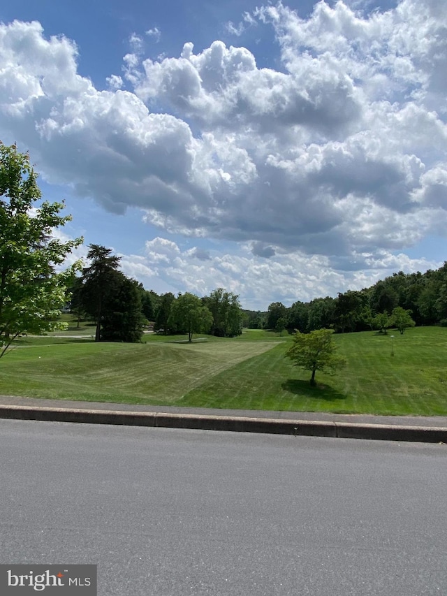 view of road featuring curbs