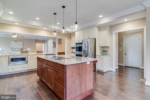 kitchen featuring dark wood-style floors, stainless steel appliances, a raised ceiling, and crown molding