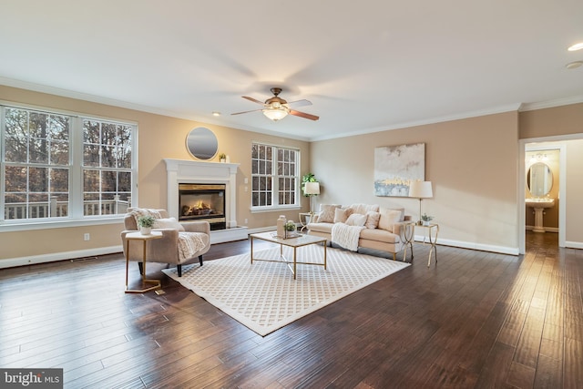 living area with dark wood-style floors, baseboards, and ornamental molding