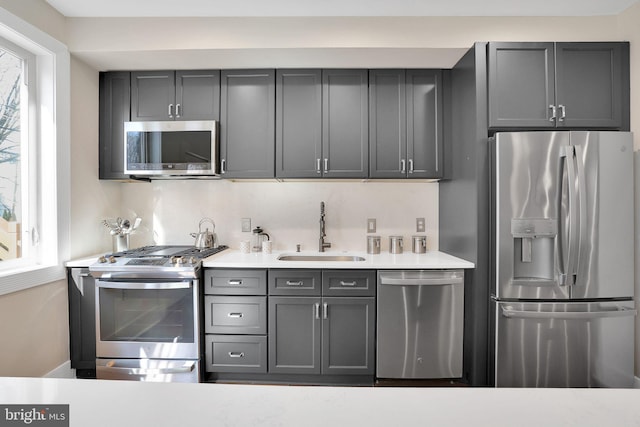 kitchen with gray cabinetry, stainless steel appliances, a sink, and light countertops