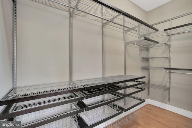 spacious closet featuring wood finished floors