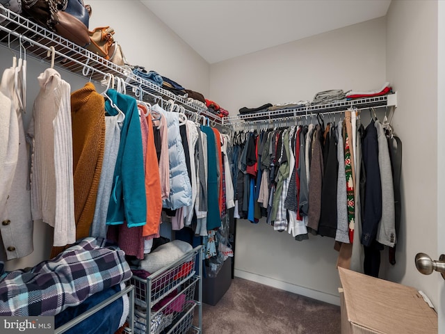 spacious closet with carpet