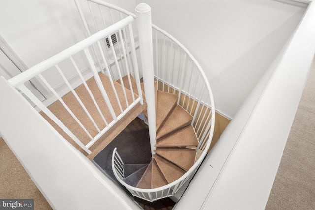 stairway with carpet