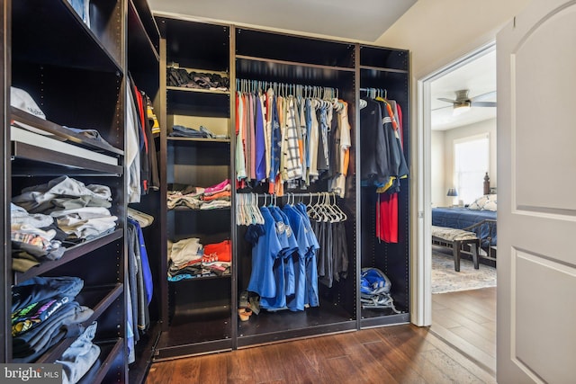 spacious closet with ceiling fan and wood finished floors