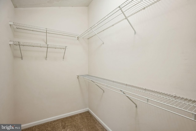 spacious closet with carpet flooring