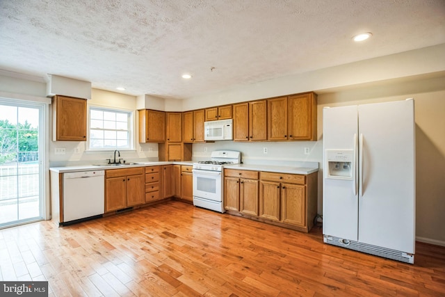 kitchen with white appliances, light wood-type flooring, a sink, light countertops, and brown cabinets