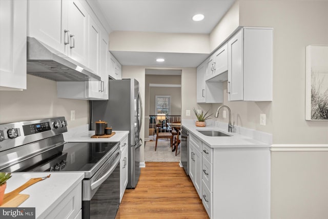 kitchen featuring under cabinet range hood, stainless steel appliances, a sink, and light countertops