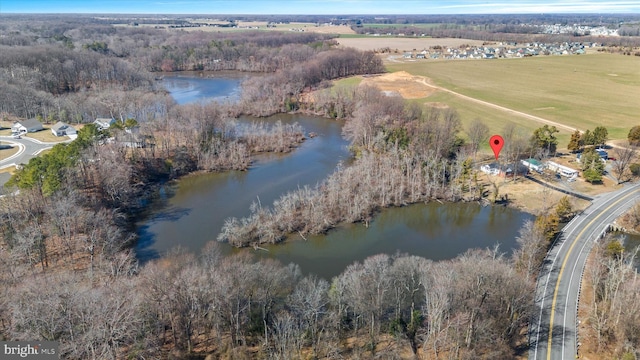 birds eye view of property with a forest view and a water view