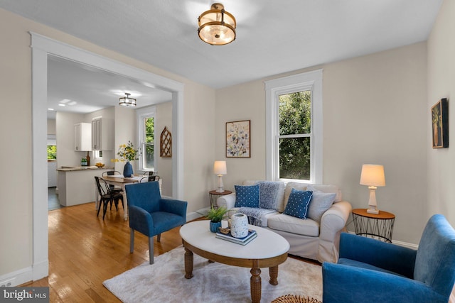 living area with light wood-style floors, baseboards, and a wealth of natural light