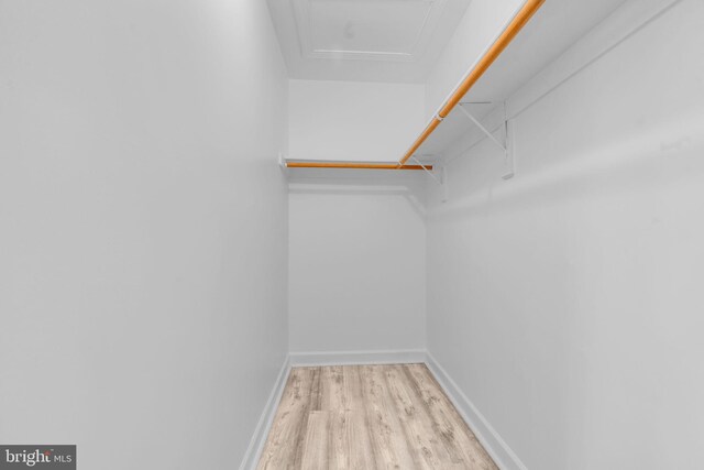 walk in closet featuring attic access and wood finished floors
