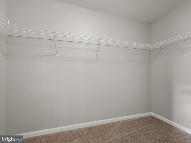 spacious closet with carpet floors