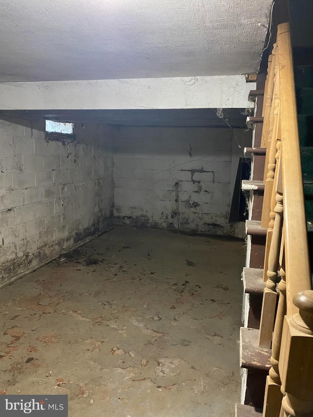 unfinished basement featuring concrete block wall