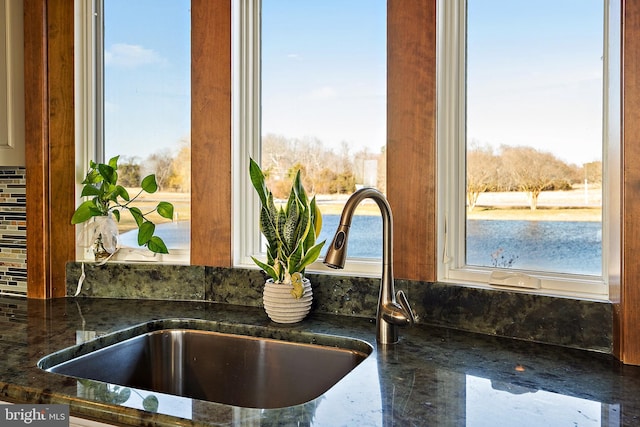 details featuring dark stone countertops and a sink