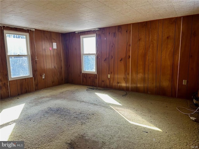 carpeted empty room featuring wood walls