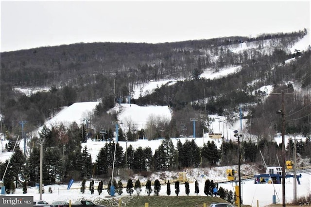 snowy aerial view featuring a view of trees