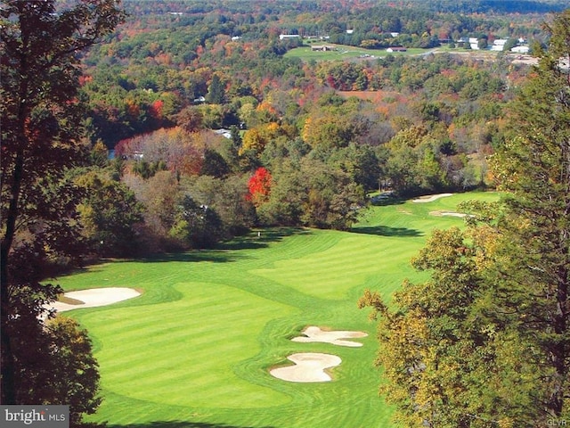 aerial view with a view of trees and golf course view