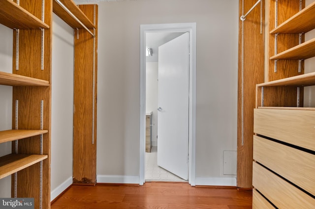 walk in closet featuring wood finished floors