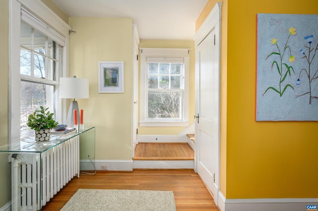 interior space featuring radiator heating unit, baseboards, and wood finished floors