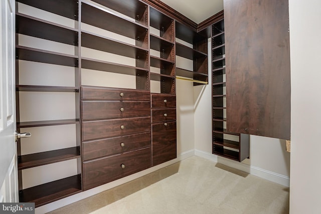 view of spacious closet