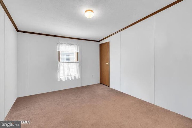 empty room featuring carpet and crown molding