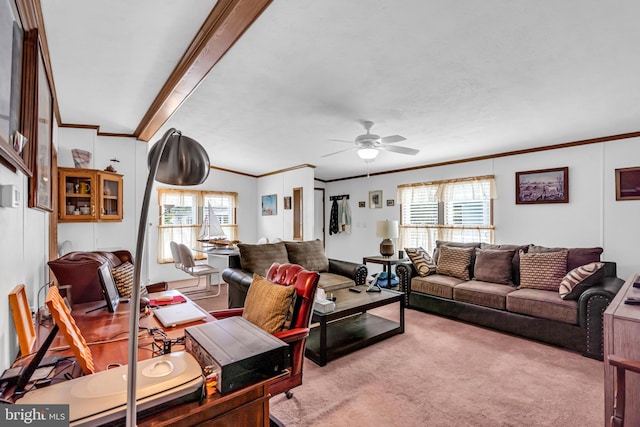 carpeted living room featuring ornamental molding and ceiling fan