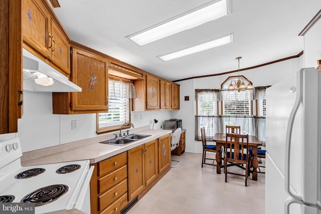 kitchen featuring white appliances, under cabinet range hood, brown cabinets, and a sink