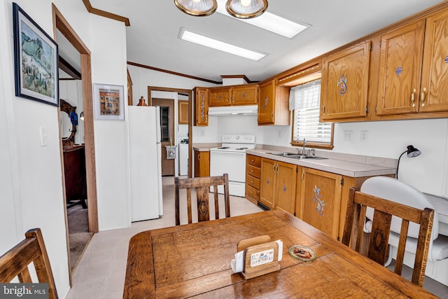 kitchen featuring under cabinet range hood, white appliances, a sink, light countertops, and crown molding