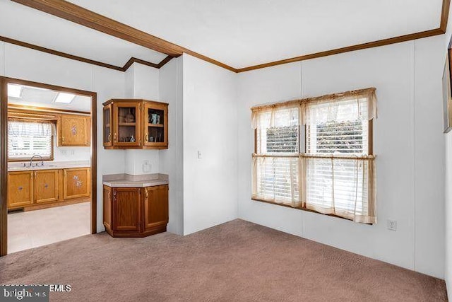 interior space featuring light carpet, a sink, and crown molding