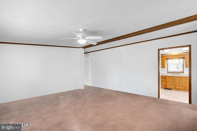 spare room with carpet floors, ornamental molding, a ceiling fan, and a decorative wall