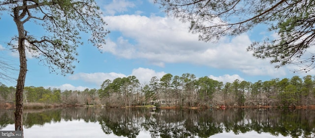 property view of water