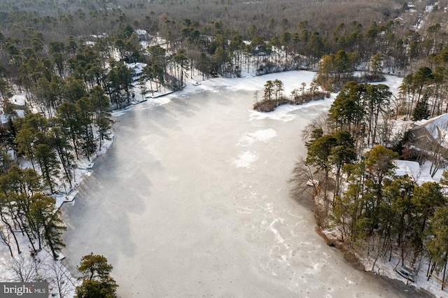 snowy aerial view with a view of trees