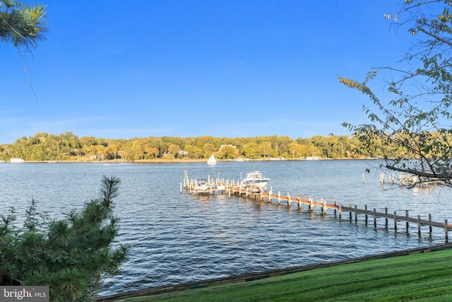 803 Coachway, Annapolis, MD 21401 - dock area with a forest view and a water view