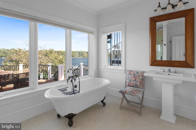 803 Coachway, Annapolis, MD 21401 - full bathroom with a freestanding bath, crown molding, baseboards, and a water view
