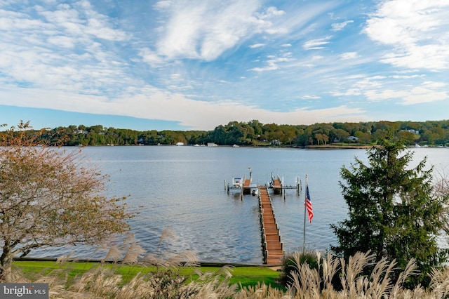 803 Coachway, Annapolis, MD 21401 - dock area with a water view and boat lift