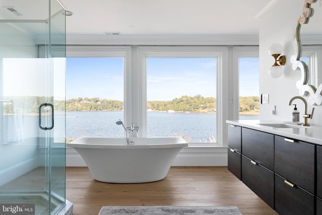 803 Coachway, Annapolis, MD 21401 - bathroom with a freestanding tub, a water view, wood finished floors, and vanity