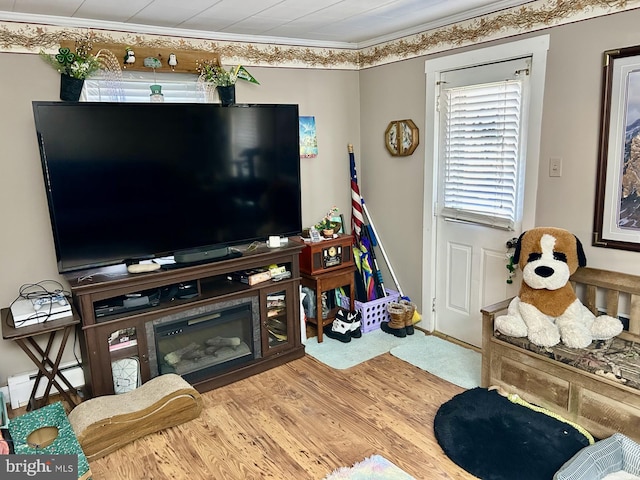 living area featuring a glass covered fireplace, a baseboard radiator, wood finished floors, and crown molding