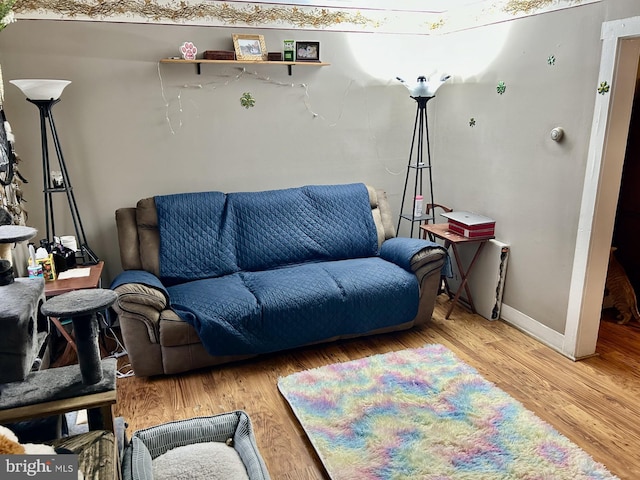 living room with wood finished floors and baseboards