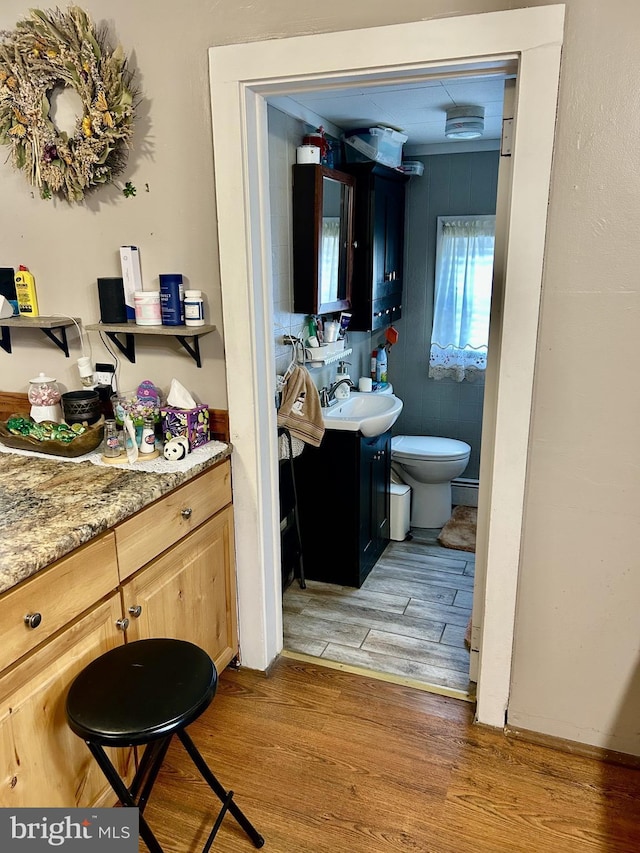 bathroom with toilet, wood finished floors, and vanity