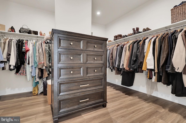 spacious closet with light wood-type flooring